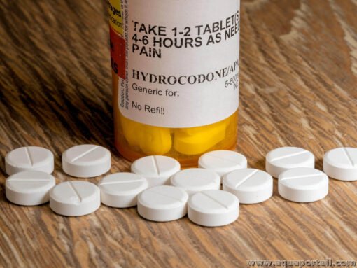 Hydrocodone - Image 5